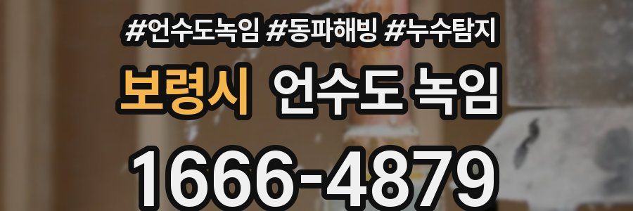 보령시 언수도 녹임