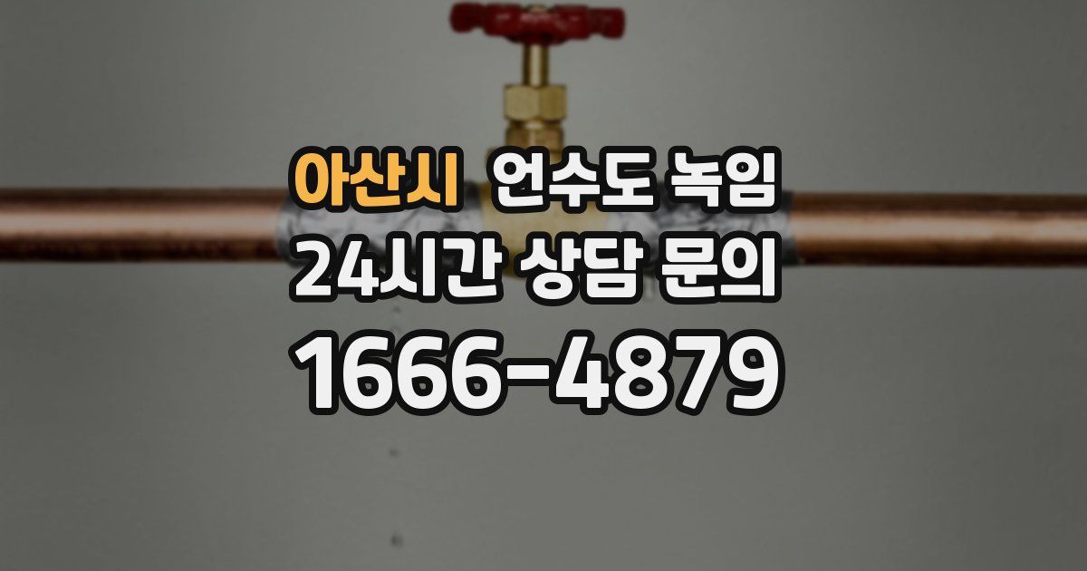 아산시 언수도 녹임