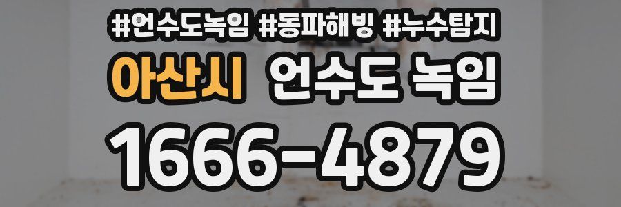 아산시 언수도 녹임