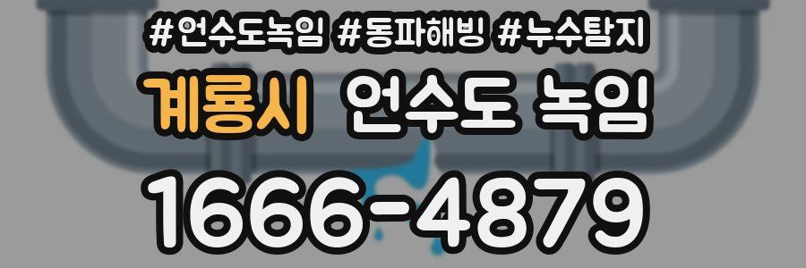 계룡시 언수도 녹임