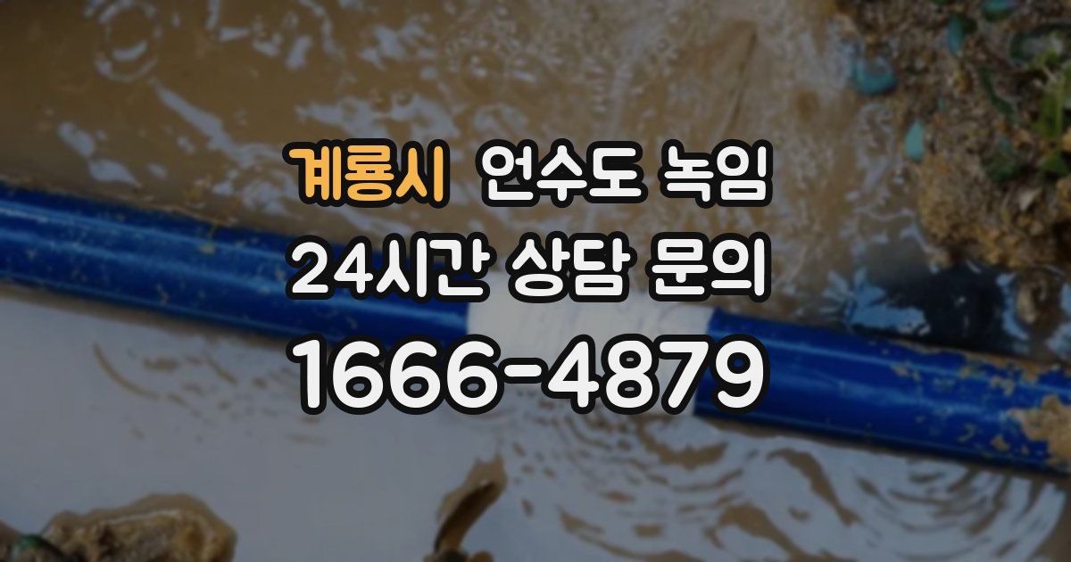 계룡시 언수도 녹임