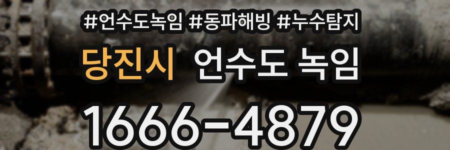 당진시 언수도 녹임