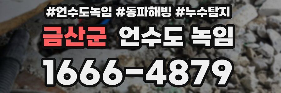 금산군 언수도 녹임