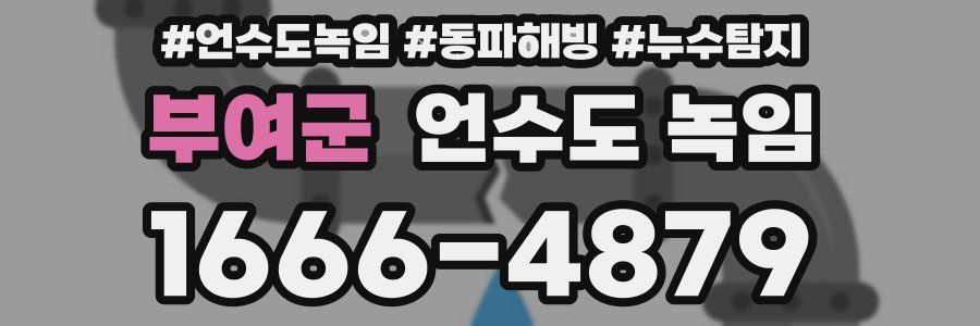 부여군 언수도 녹임