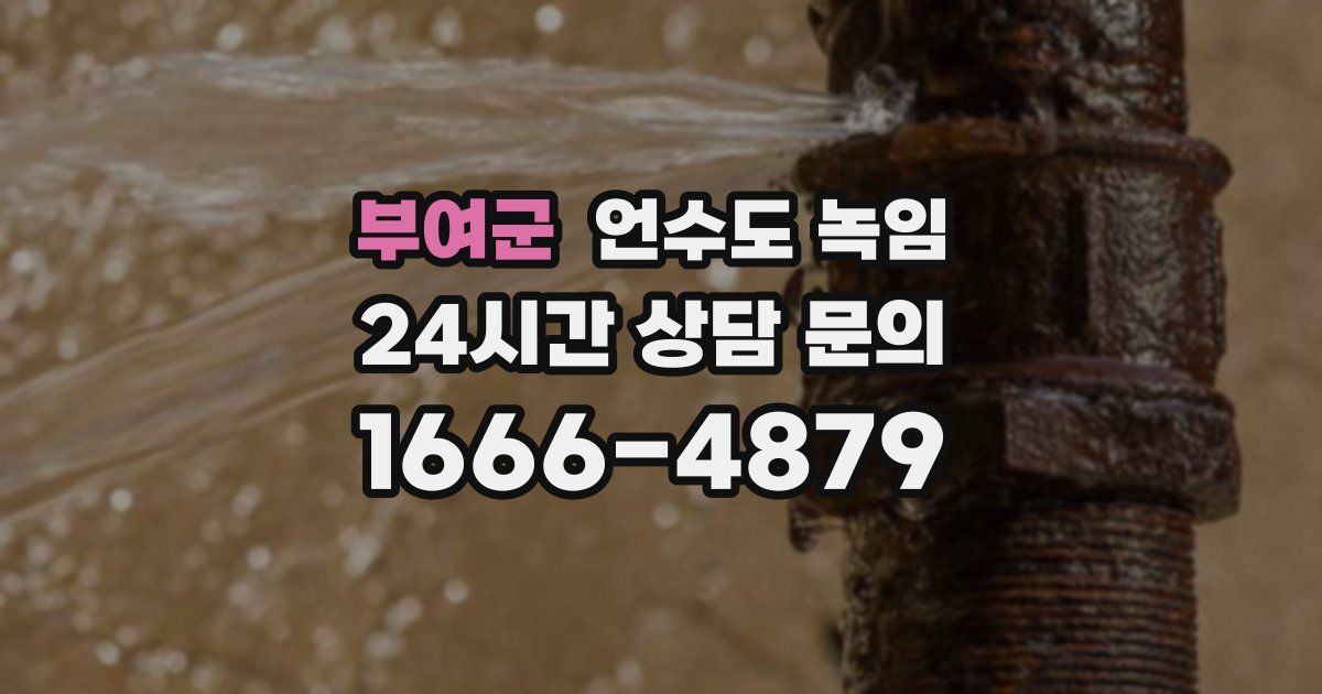 부여군 언수도 녹임