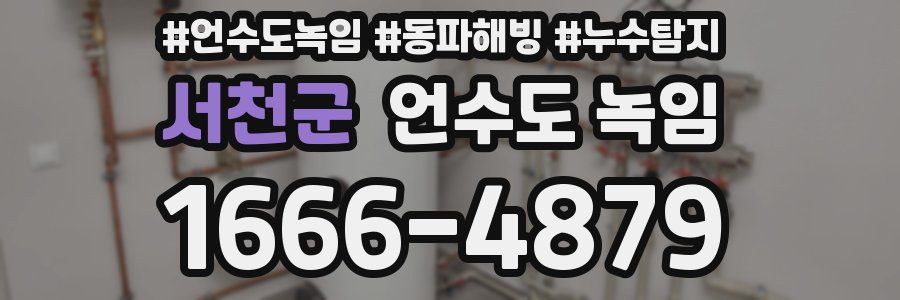 서천군 언수도 녹임