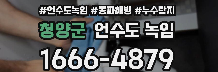 청양군 언수도 녹임