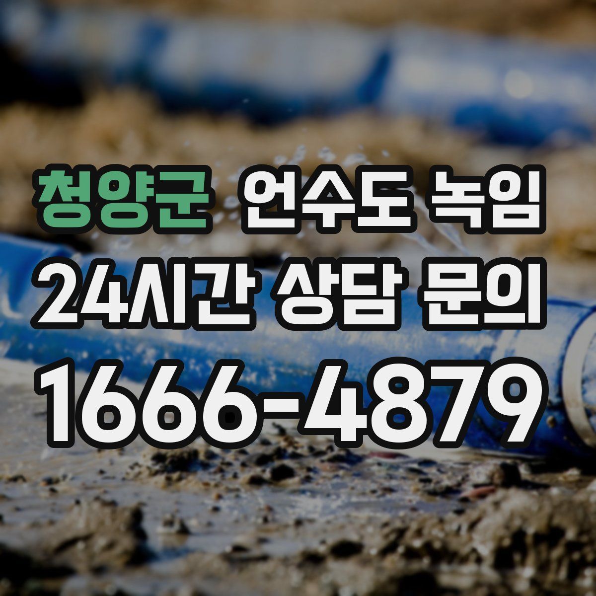 청양군 언수도 녹임