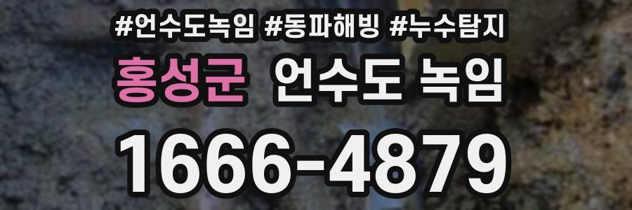 홍성군 언수도 녹임