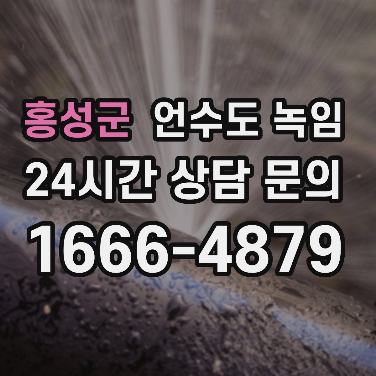 홍성군 언수도 녹임