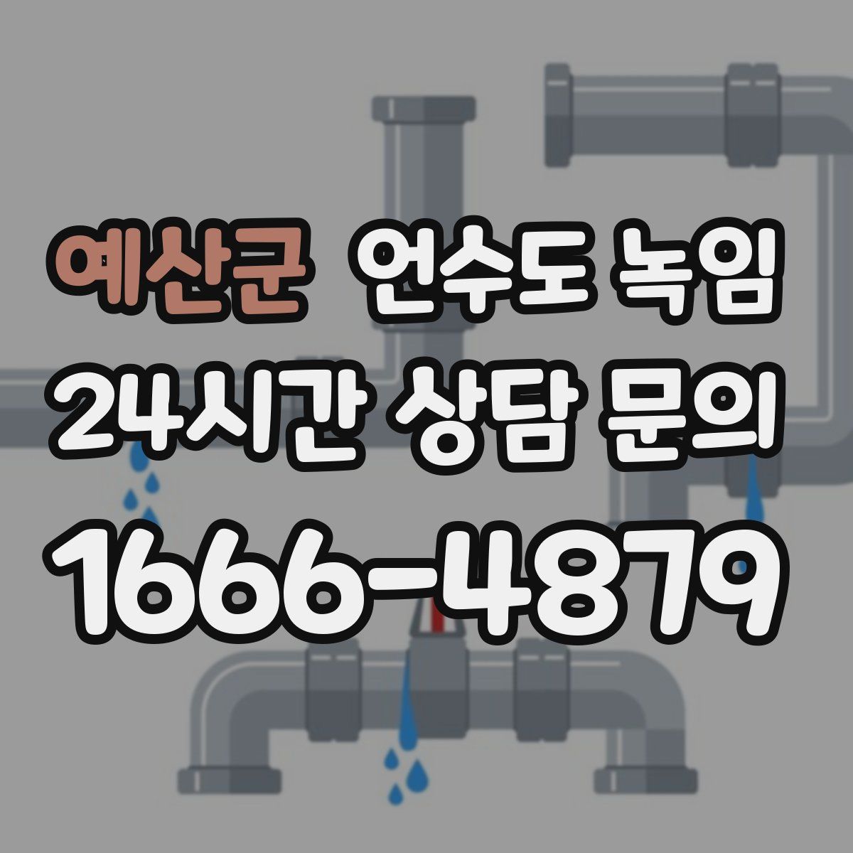 예산군 언수도 녹임