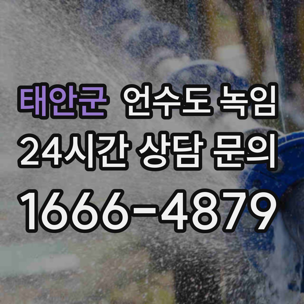 태안군 언수도 녹임