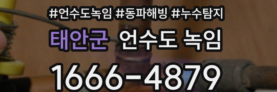 태안군 언수도 녹임