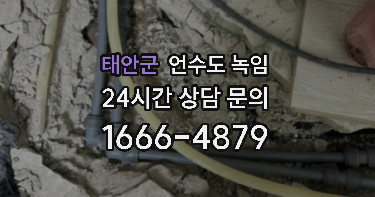 태안군 언수도 녹임