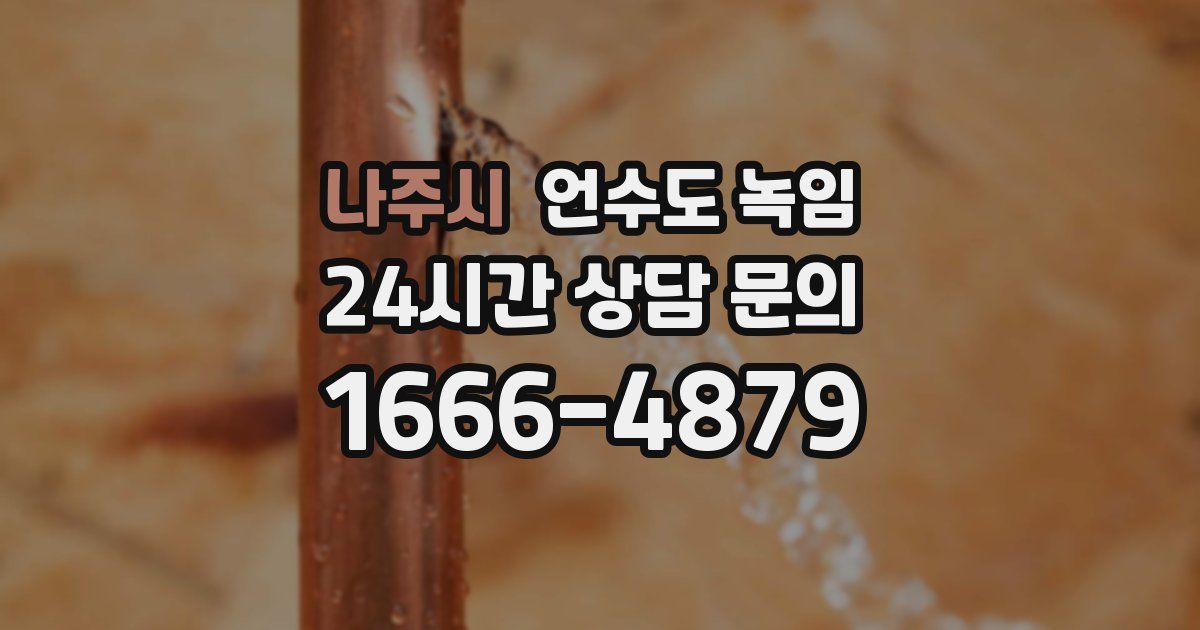 나주시 언수도 녹임