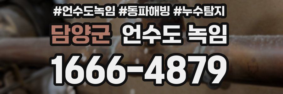 담양군 언수도 녹임