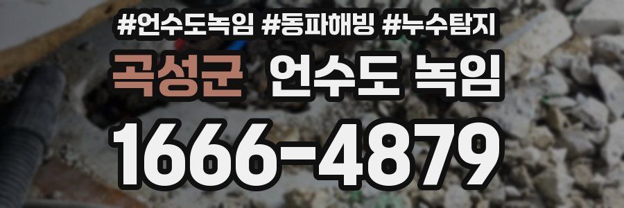 곡성군 언수도 녹임