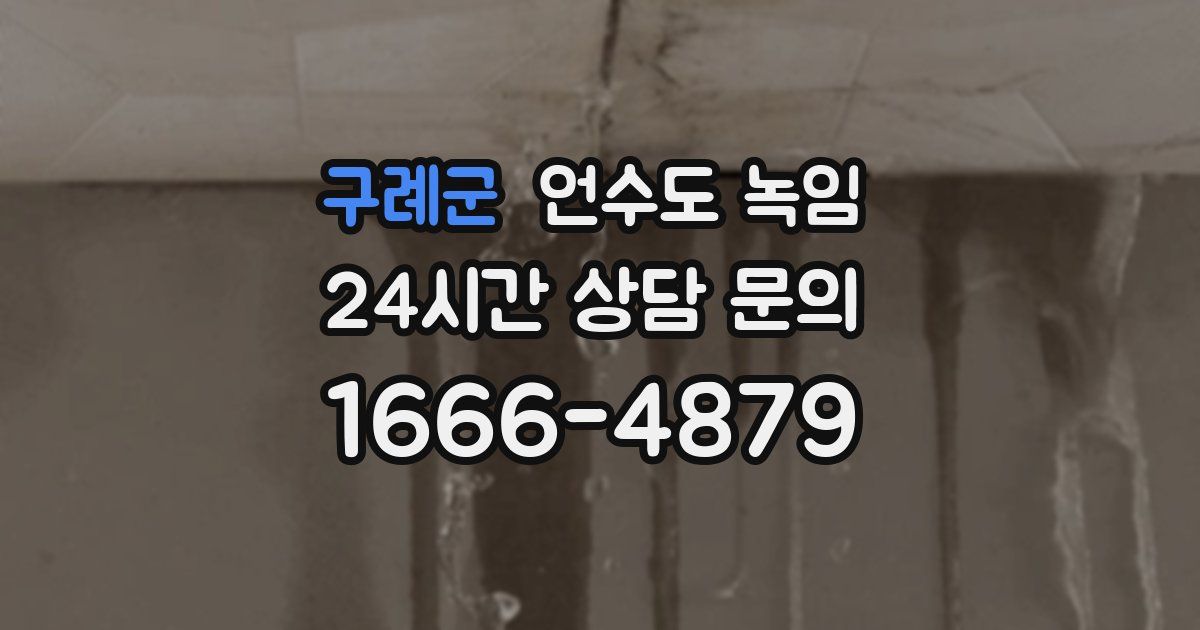 구례군 언수도 녹임