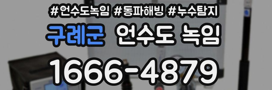 구례군 언수도 녹임