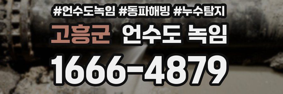 고흥군 언수도 녹임
