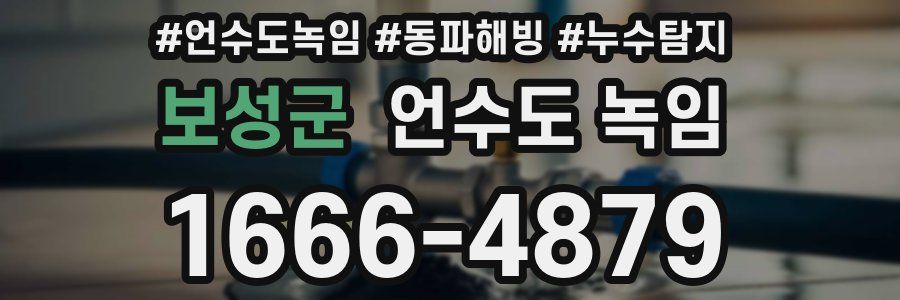 보성군 언수도 녹임