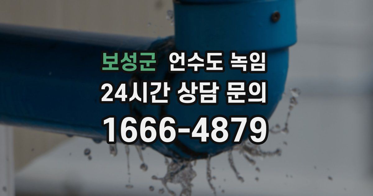 보성군 언수도 녹임