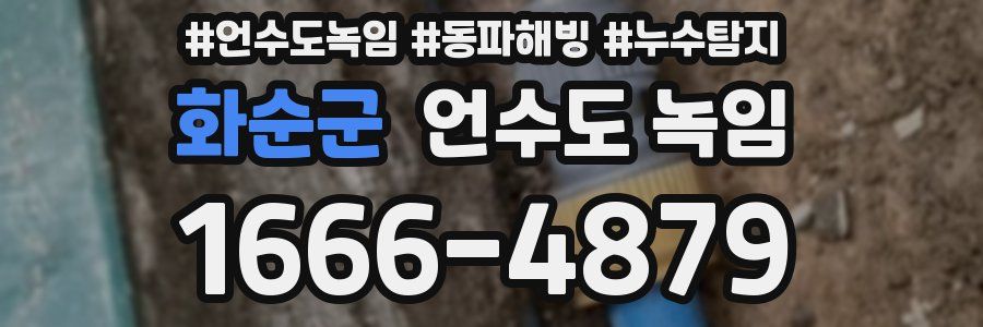 화순군 언수도 녹임