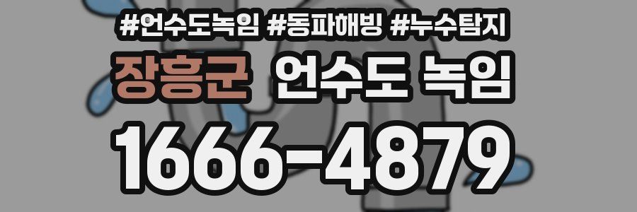 장흥군 언수도 녹임