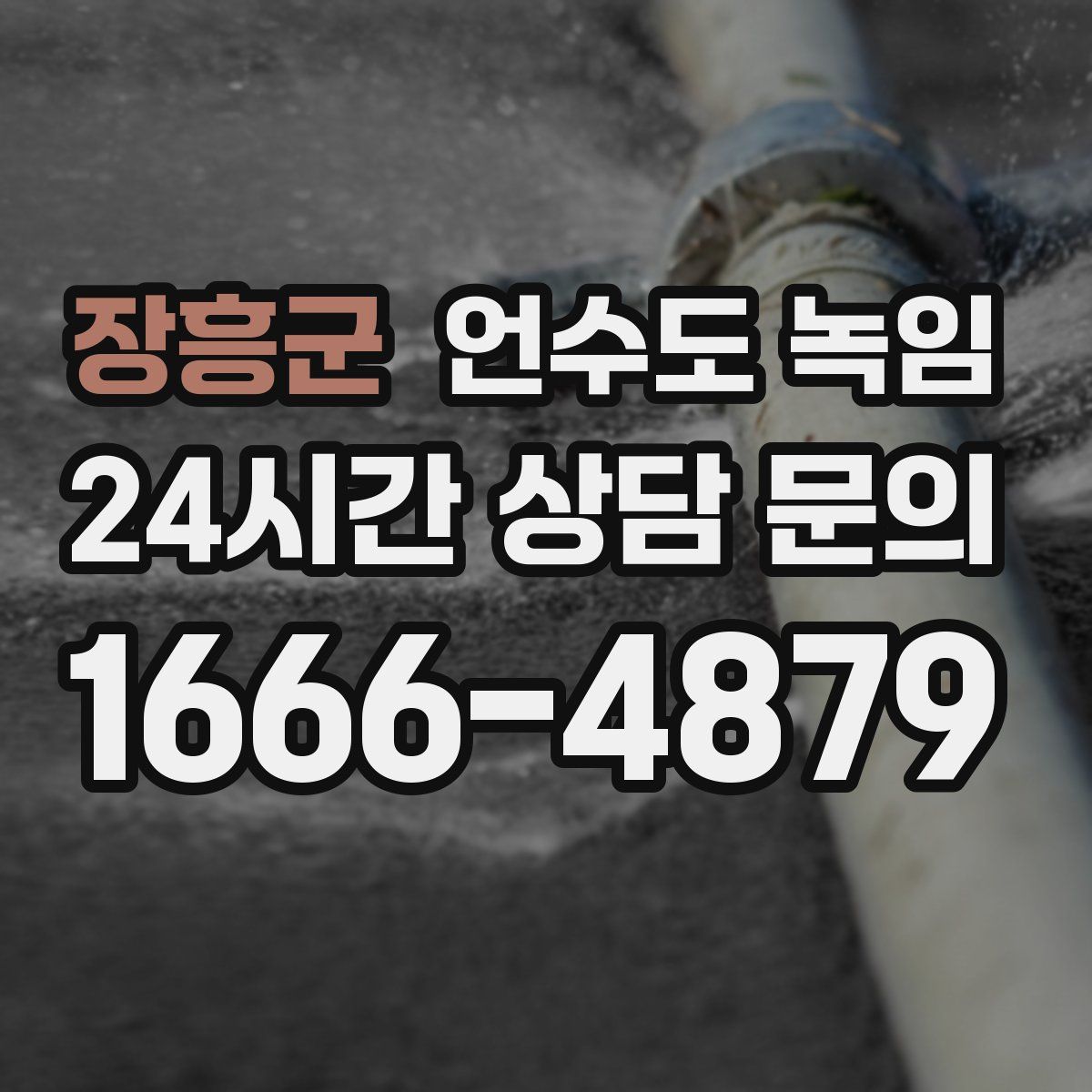 장흥군 언수도 녹임