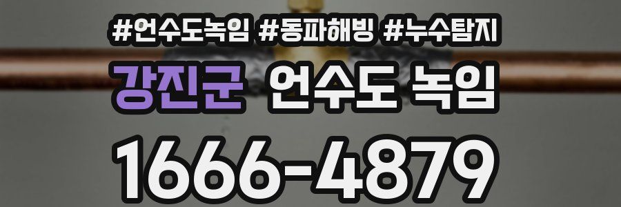 강진군 언수도 녹임