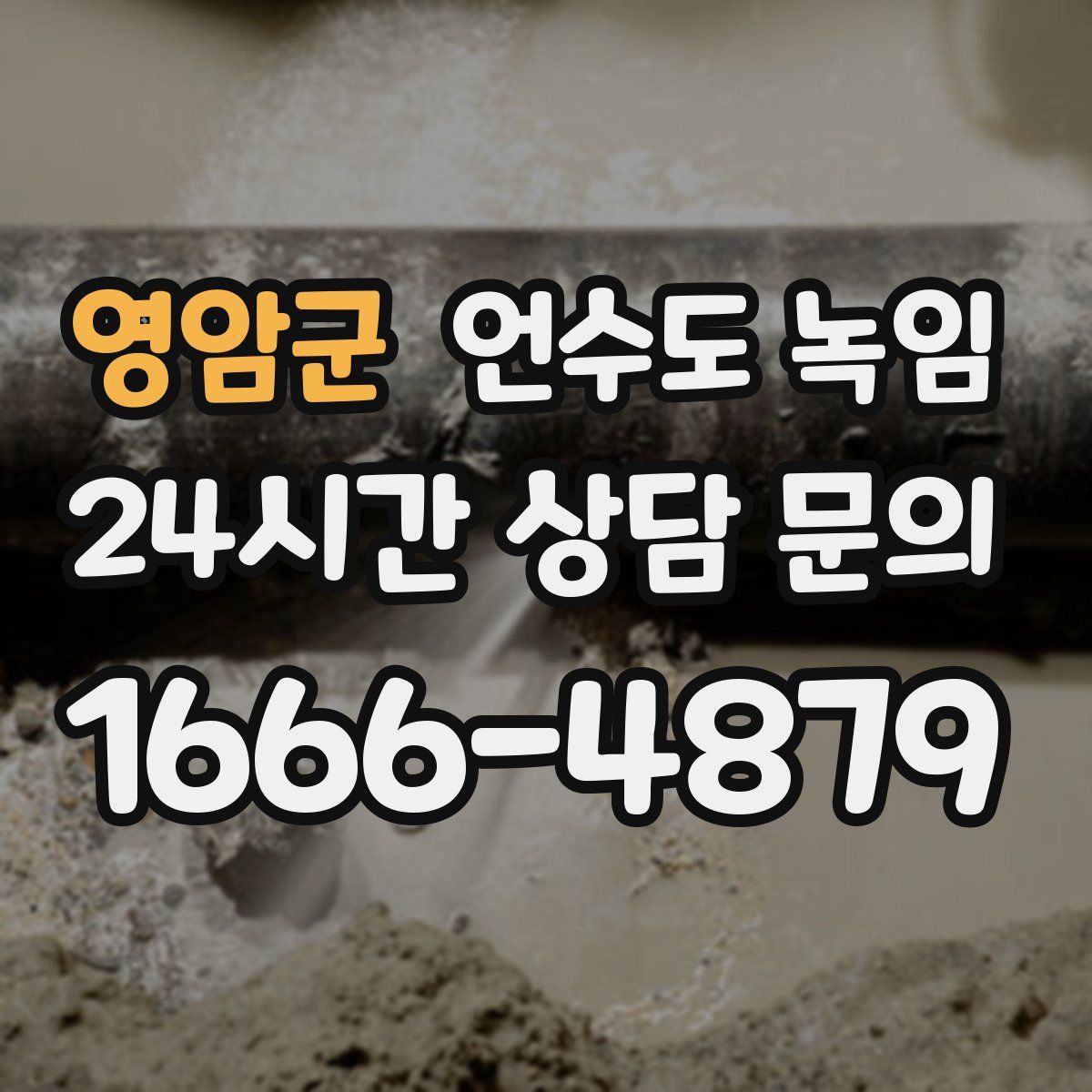 영암군 언수도 녹임