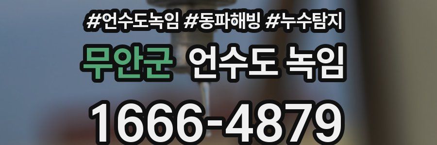 무안군 언수도 녹임