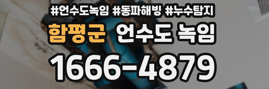 함평군 언수도 녹임