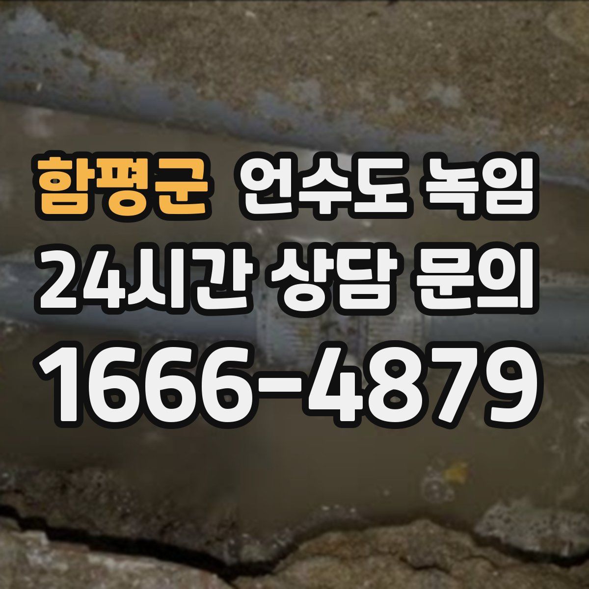 함평군 언수도 녹임