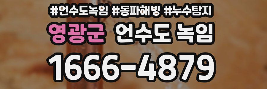 영광군 언수도 녹임