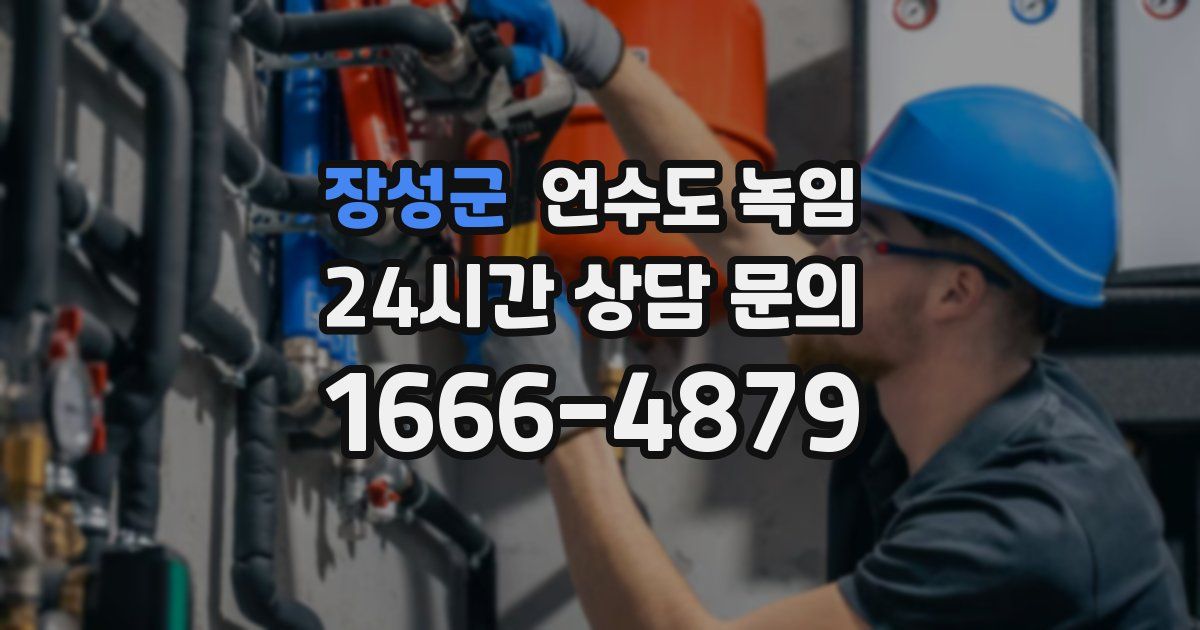 장성군 언수도 녹임