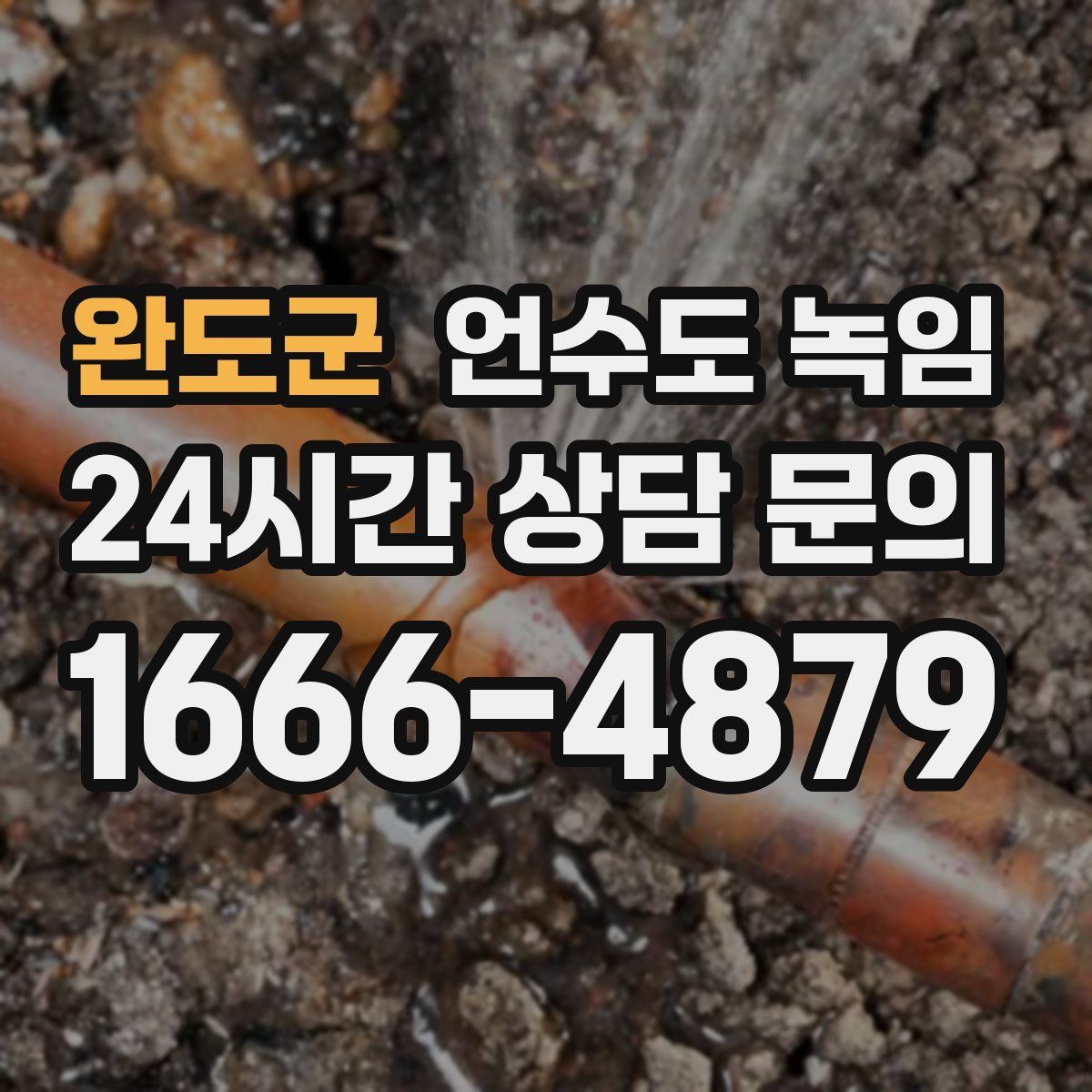 완도군 언수도 녹임