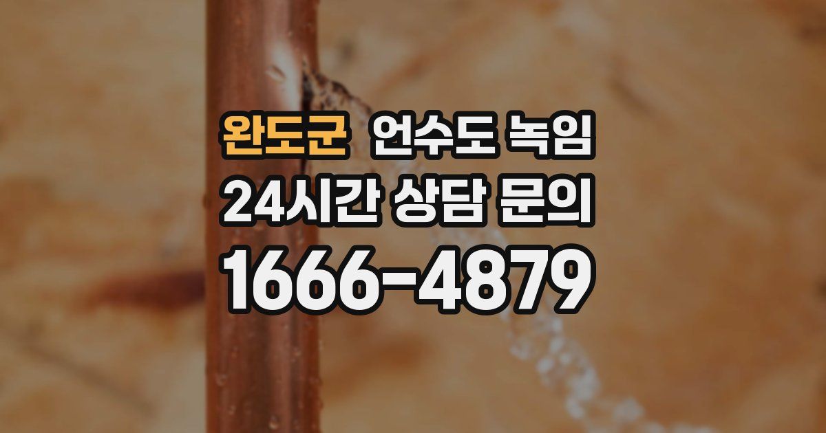 완도군 언수도 녹임