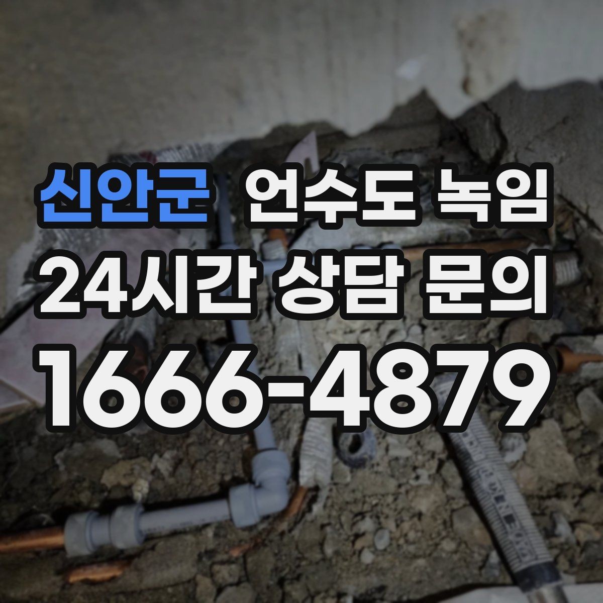 신안군 언수도 녹임 오늘 바로 해결하고 싶은 분을 위한 체크리스트
