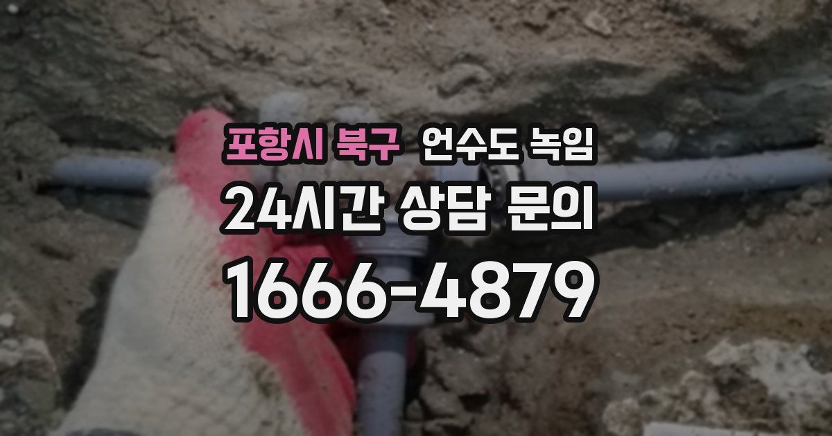 포항시 북구 언수도 녹임