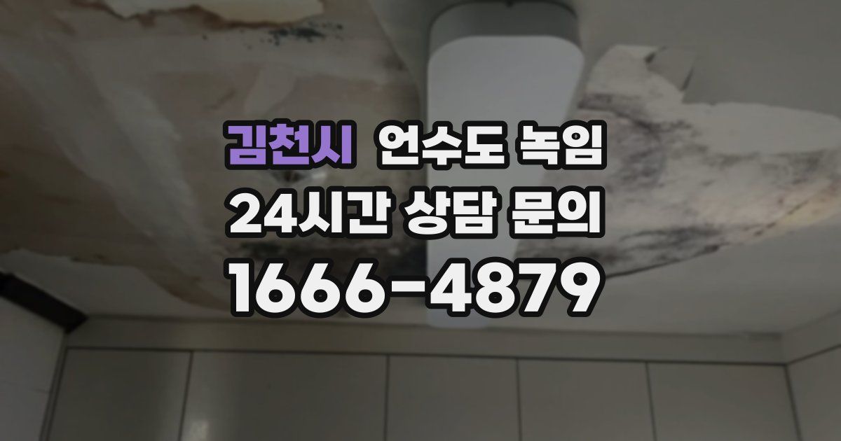 김천시 언수도 녹임