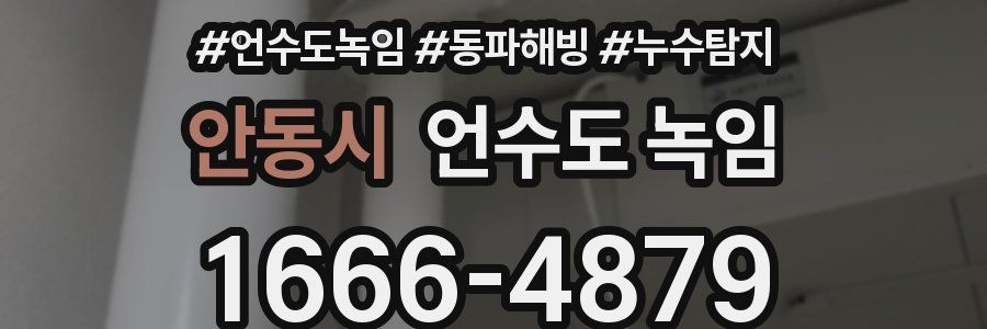 안동시 언수도 녹임