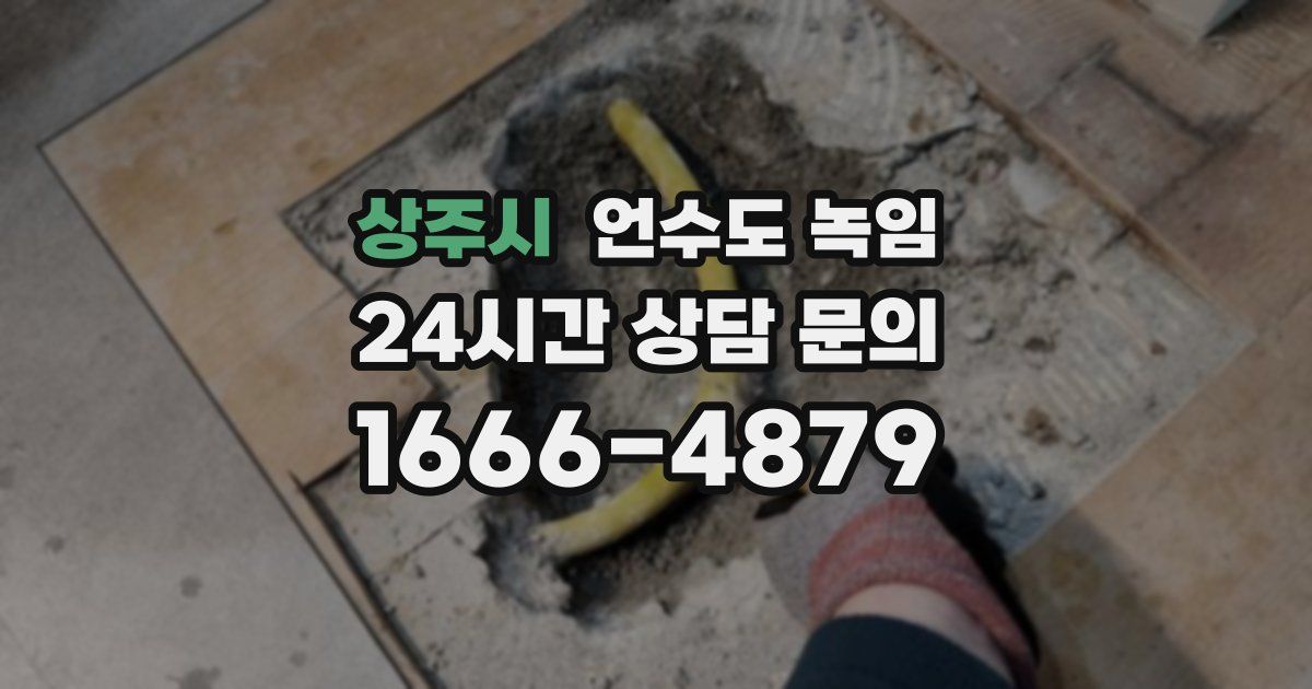 상주시 언수도 녹임