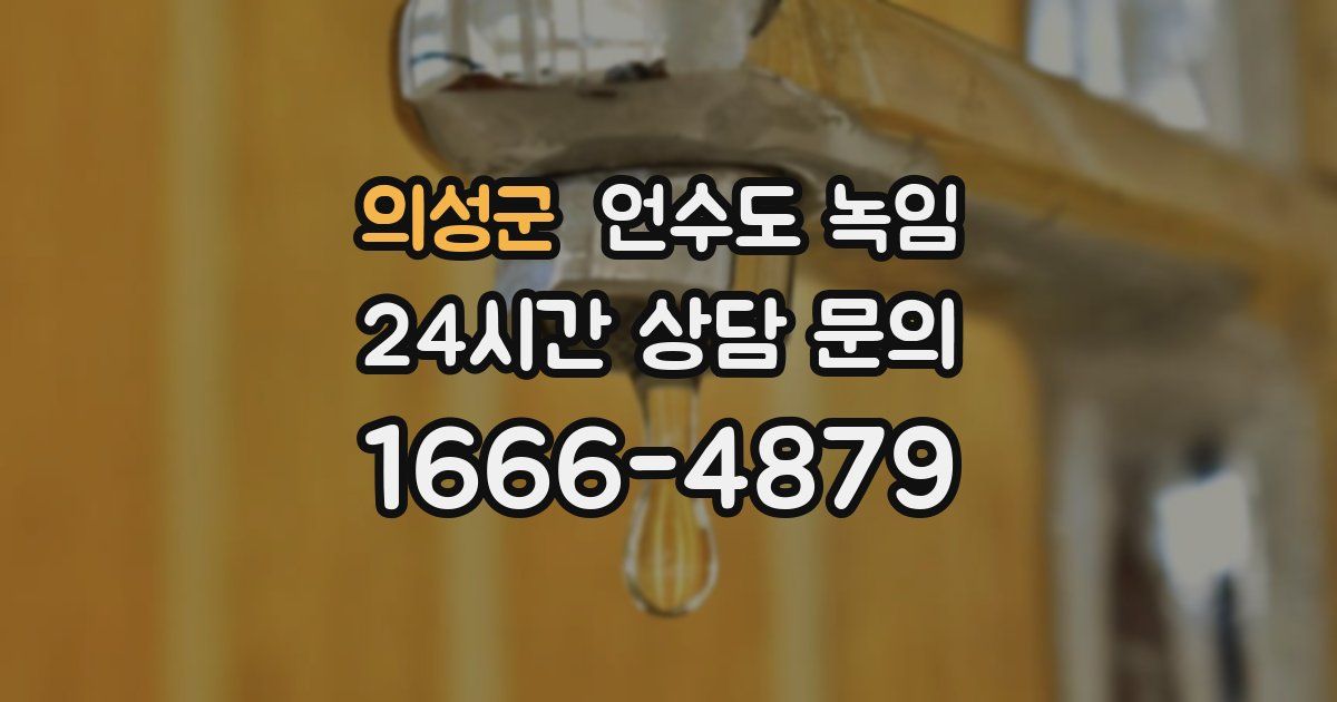 의성군 언수도 녹임