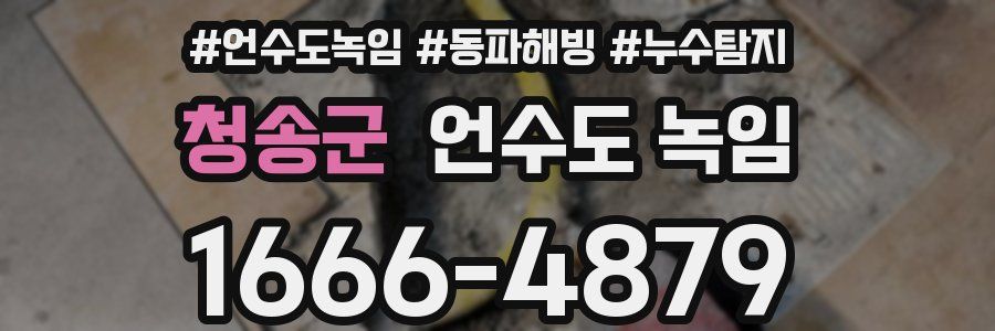 청송군 언수도 녹임