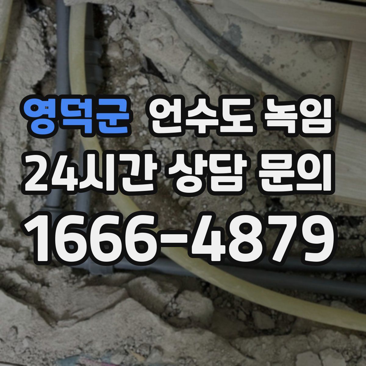 영덕군 언수도 녹임