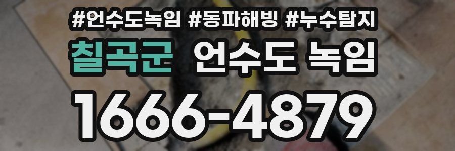 칠곡군 언수도 녹임