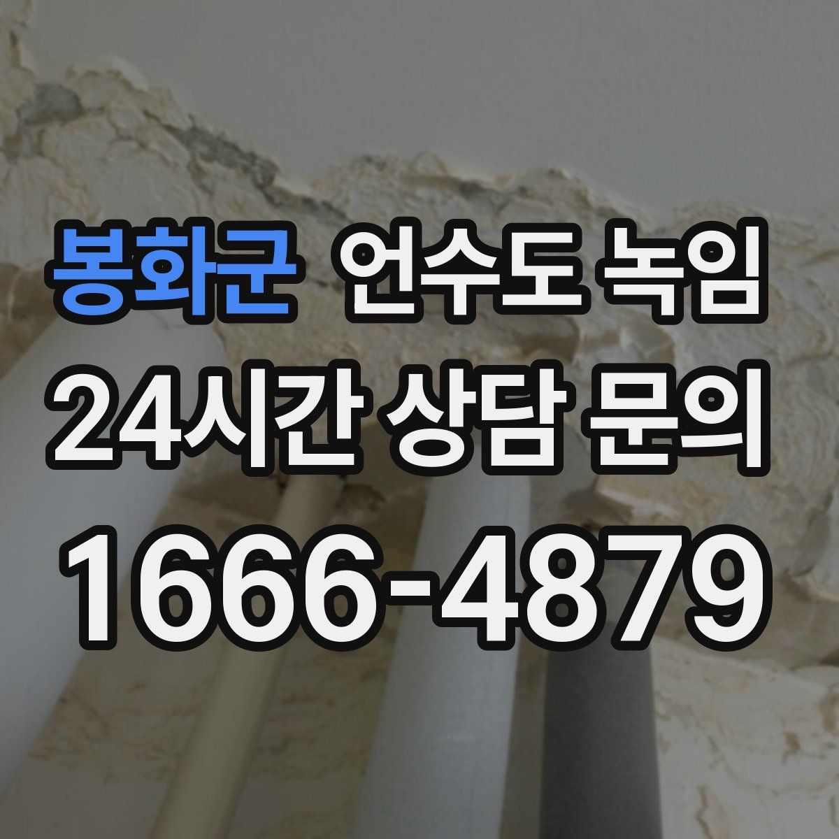 봉화군 언수도 녹임