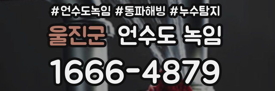 울진군 언수도 녹임