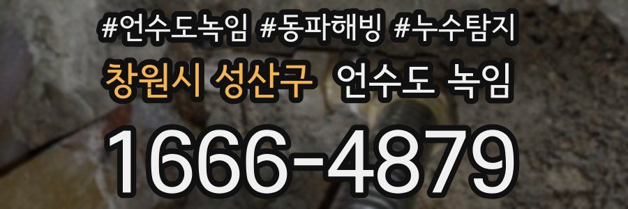 창원시 성산구 언수도 녹임